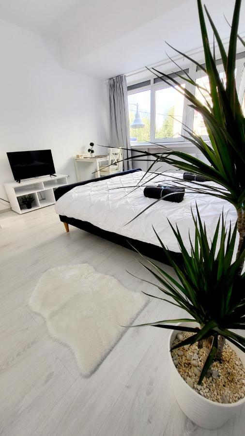 Victoriei Central Studio Apartment Bucharest Luaran gambar